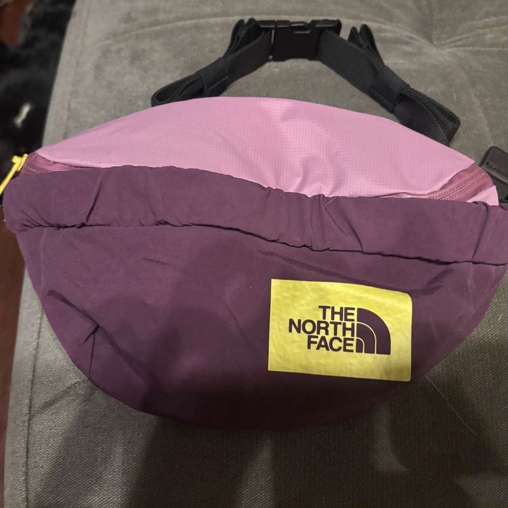 The North Face mountain lumbar waist pack